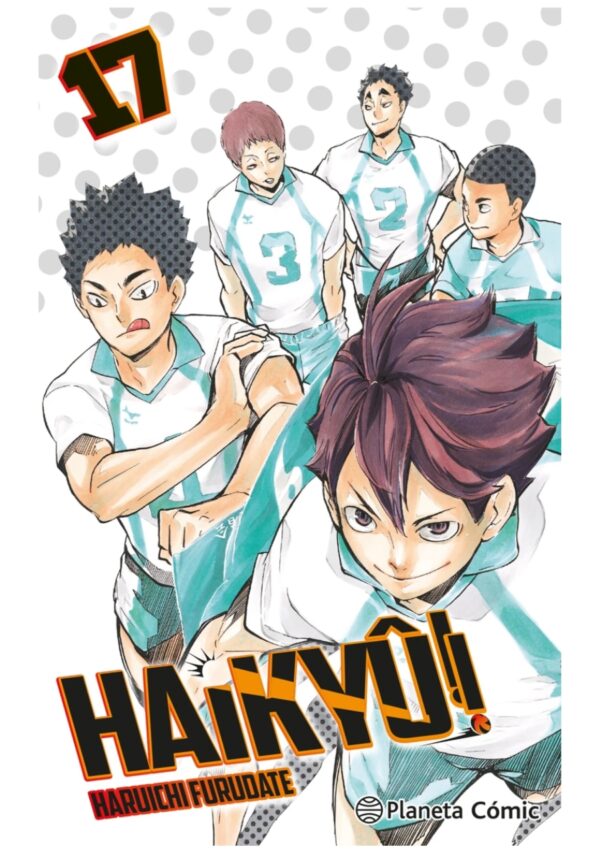 Haikyu!! 17