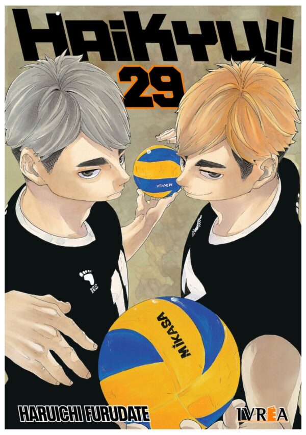 Haikyu!! 29