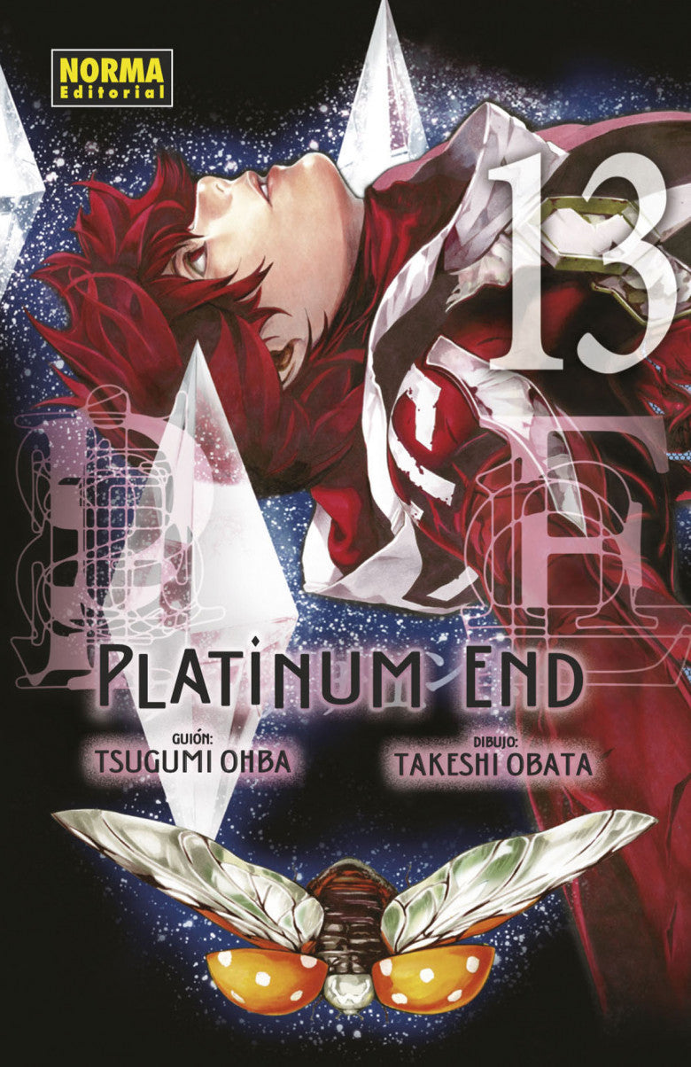 Platínum End 13