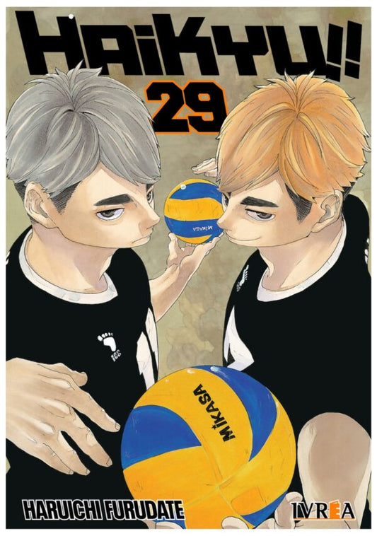 Haikyu!! 29