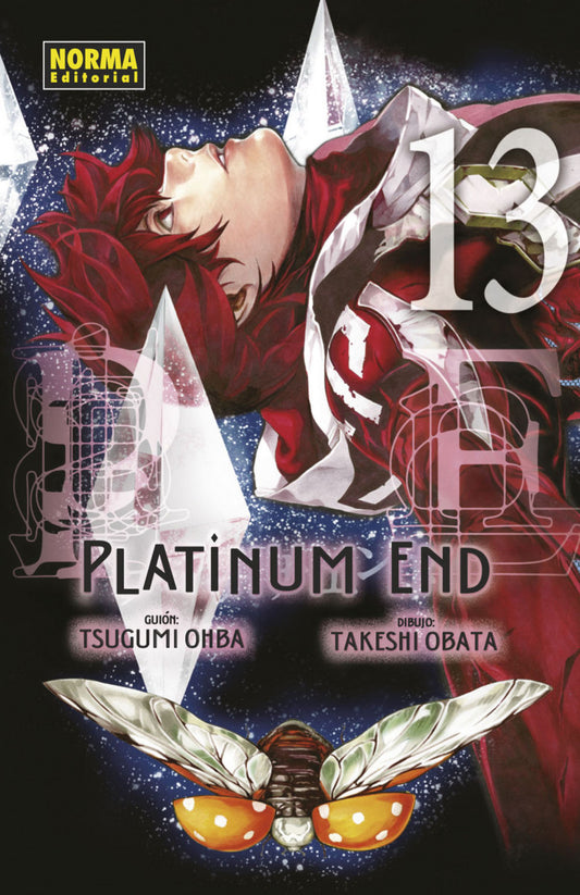 Platínum End 13
